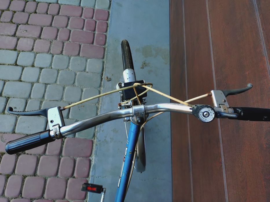 Rower universal Leda