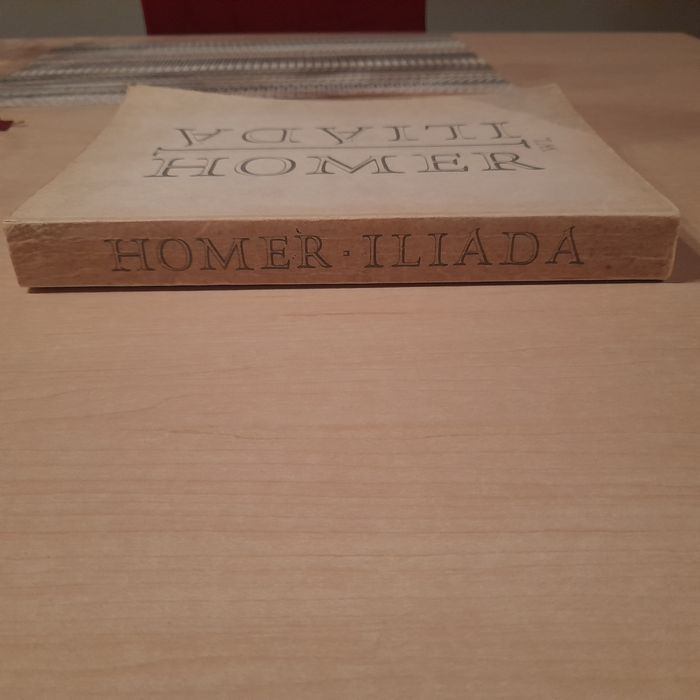 Homer Iliada Wydawnictwo Literackie