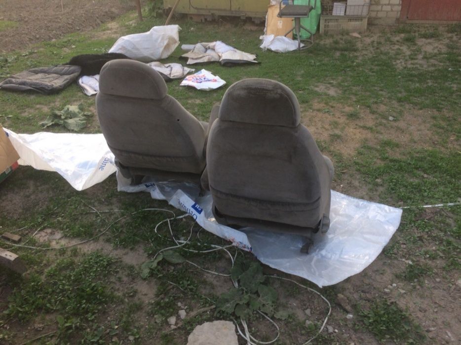 Передні сідушки шарана.