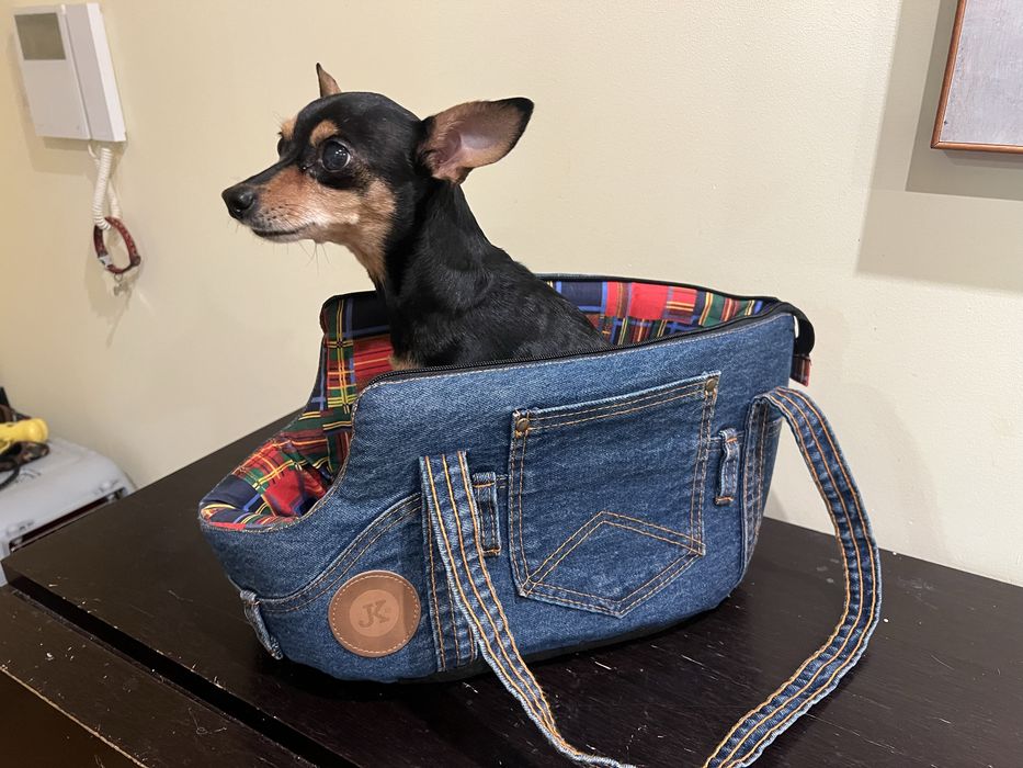 Tranportador para caes de pequeno porte