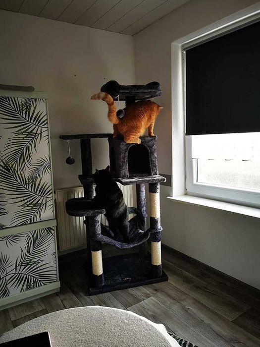 Drapak dla kota duży wysoki drapak NOWY dla kota domek legowisko NOWY