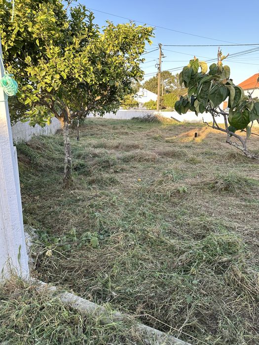 Limpeza terreno e manutenção