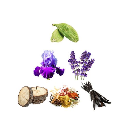 Jean Paul Gaultier Le Male Le Parfum