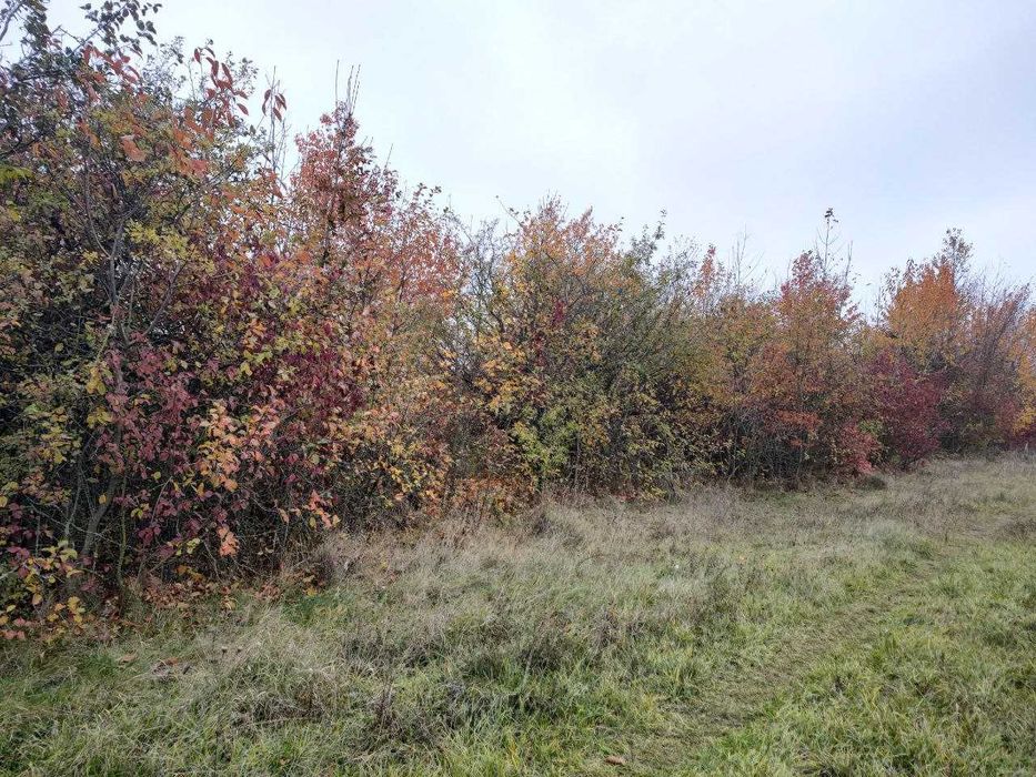 Продається земельна ділянка для забудови в передмісті