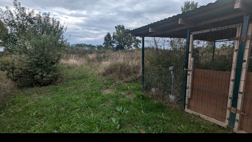 Продається будинок в с. Струмківка.