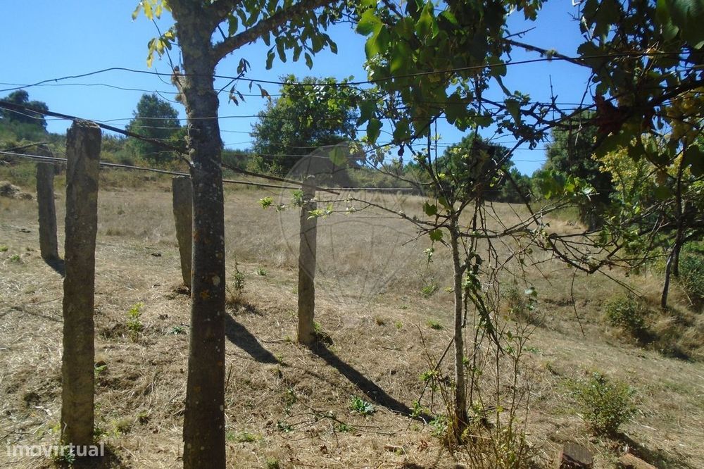 Quinta  para venda