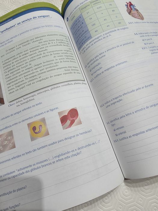 Caderno de revisão 9º ano