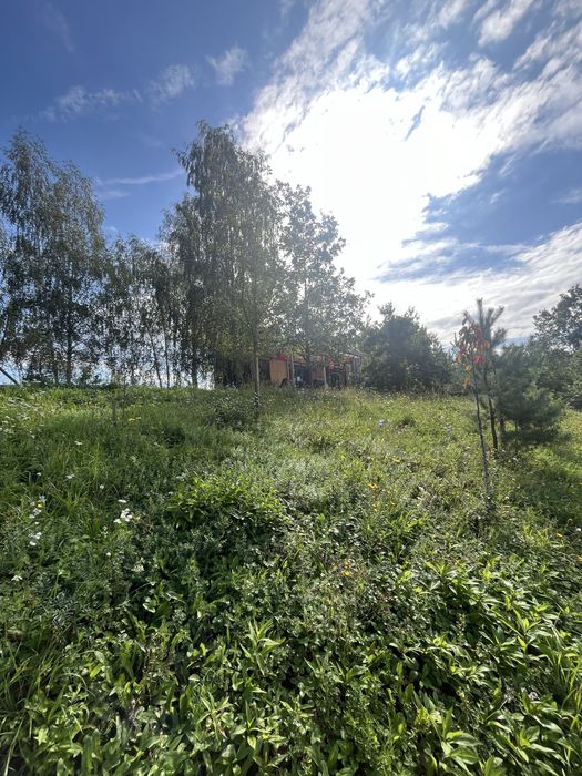 Zdjęcie 6