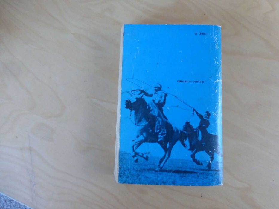 Argentyńska mozaika. Aleksander Omiljanowicz