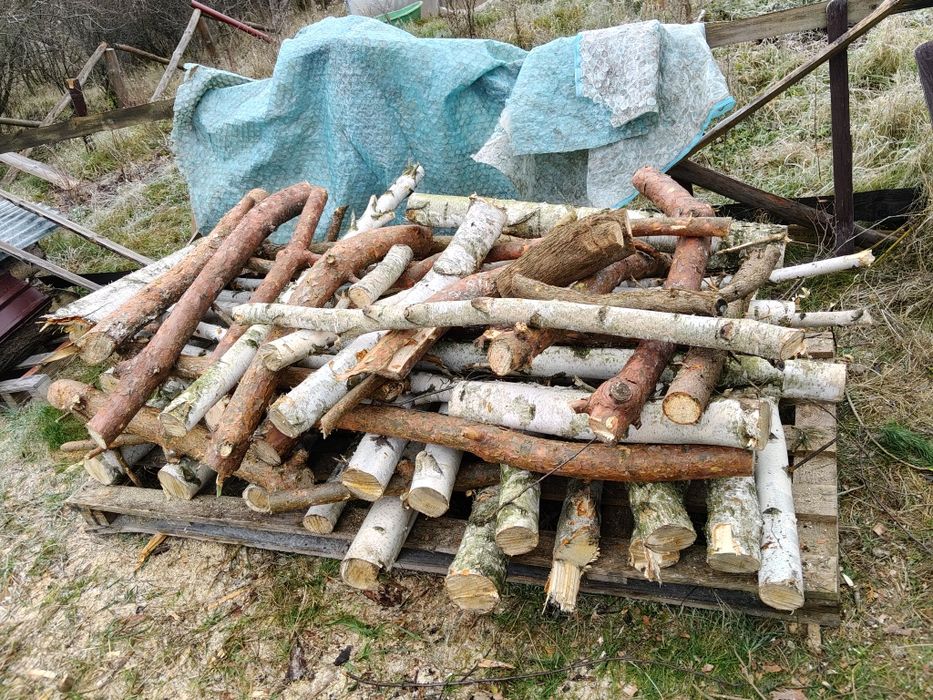 Duze worki DO WĘDZENIA drewno owocowe, LIPA SOSNA BUK kominkowe liscia