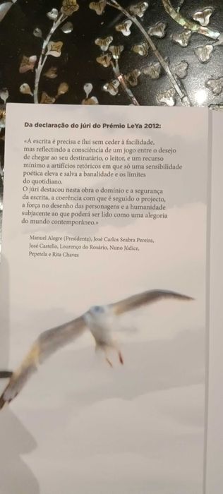 Debaixo de Algum Céu de Nuno Camarneiro