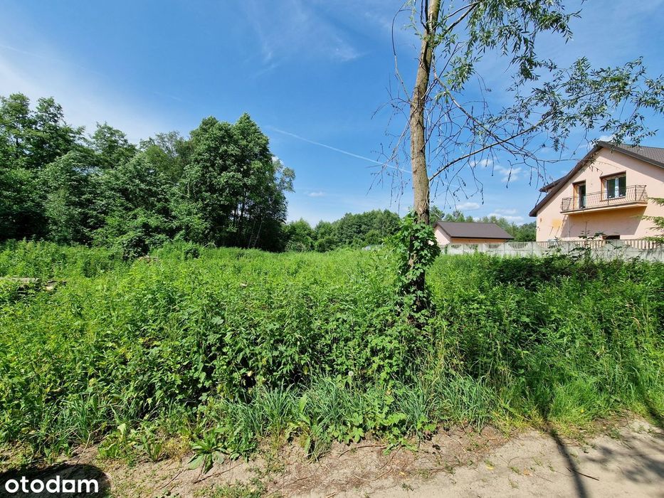 Syndyk sprzeda działkę w Cypriance