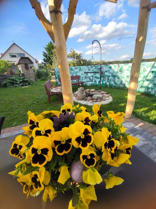 Domek pod Lasem na Kurpiach AGRO jacuzzi