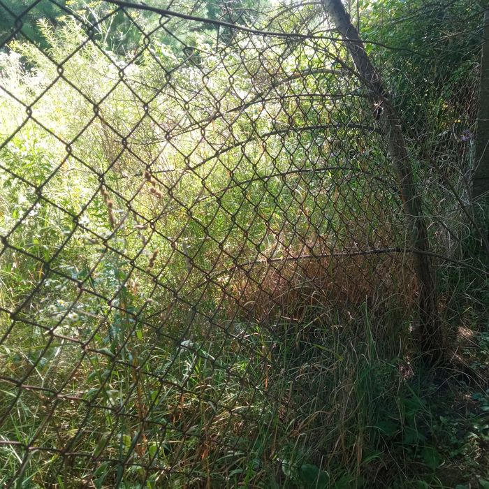 Сітка рябиця б/у