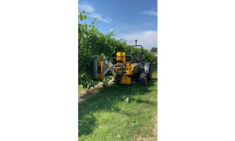 Desfolhadora Orizzonti Tornado 500 (TRD)