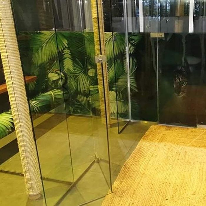 Aplicador de Vinil