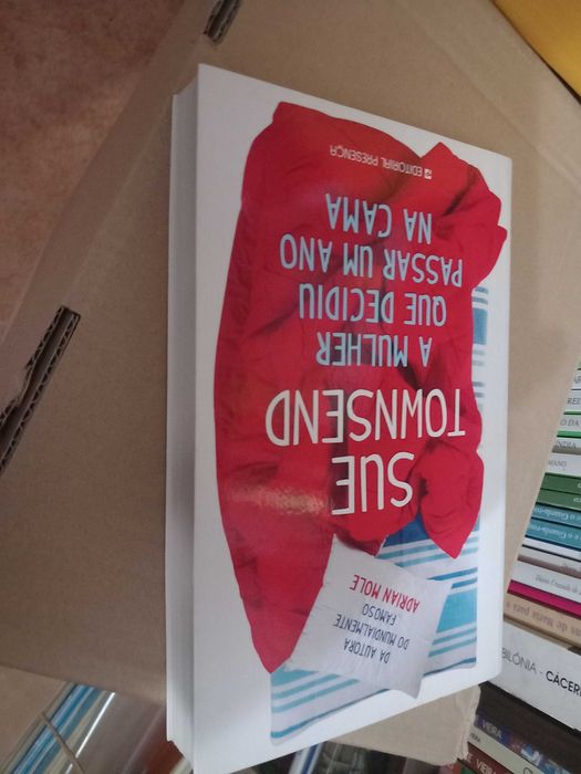COMO NOVO A Mulher que decidiu passar um ano na Cama Sue Townsend Livr