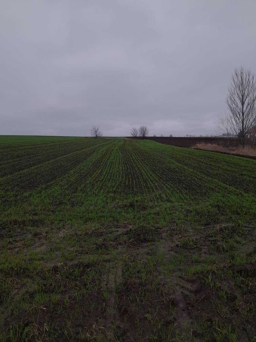 Продаж земельної ділянки в с. Германівка, Обухівський район
