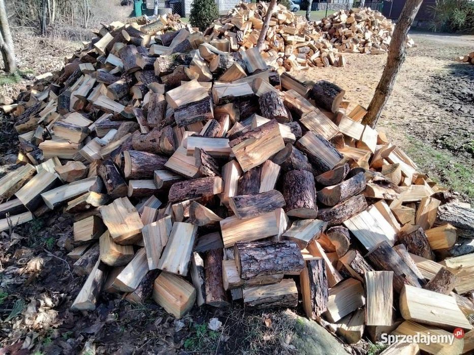 Drzewo sosnowe cięte