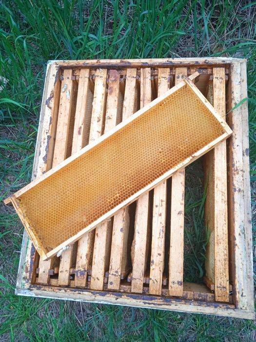 Вулики. Ульи Дадан 10-тирамочнфе с полным комплектом суши и магазинами