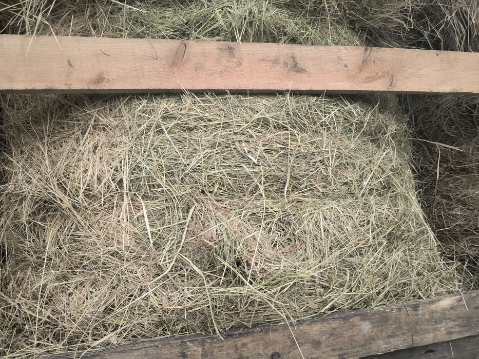 Сіно  лугове з доставкою