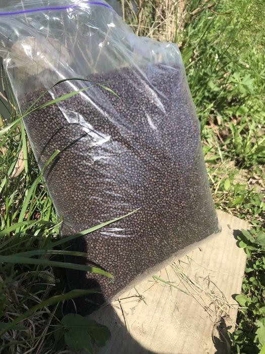 Корм для креветки розенберга