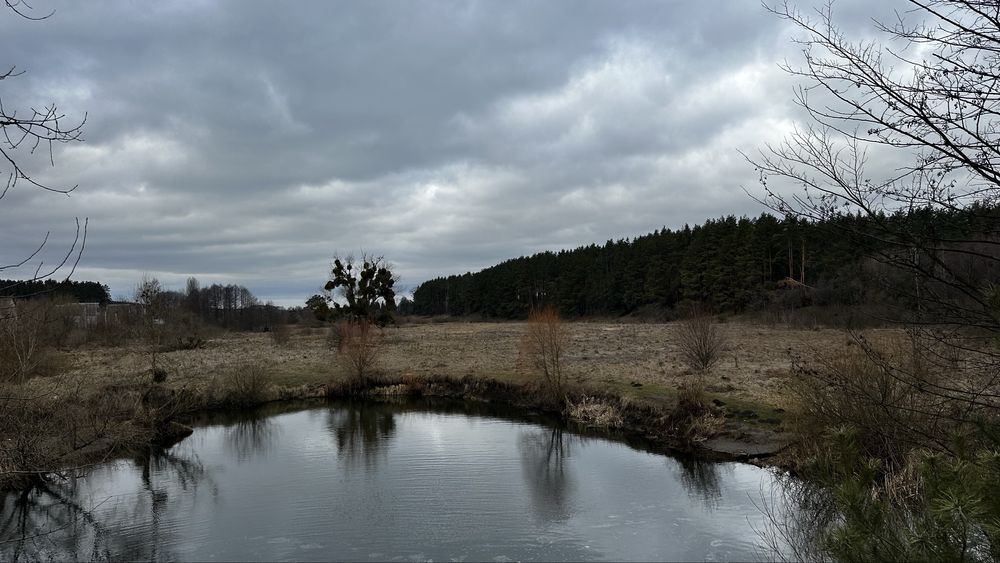 Продається ділянка 1,33 га біля Пряжівського озера