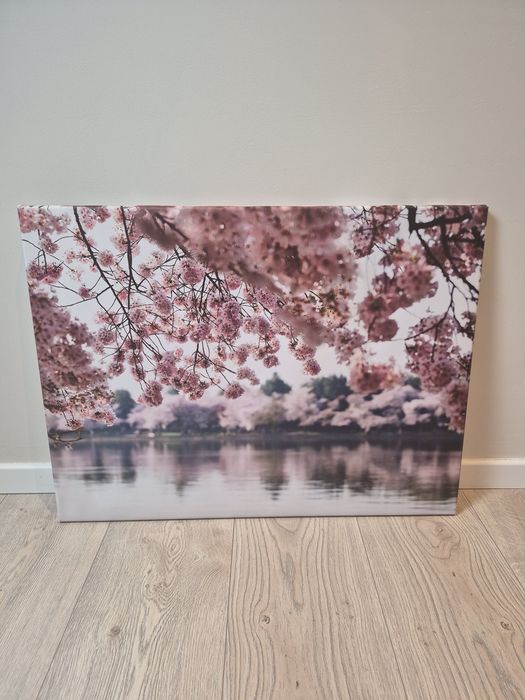 Obraz kwiat wiśni 60x80cn