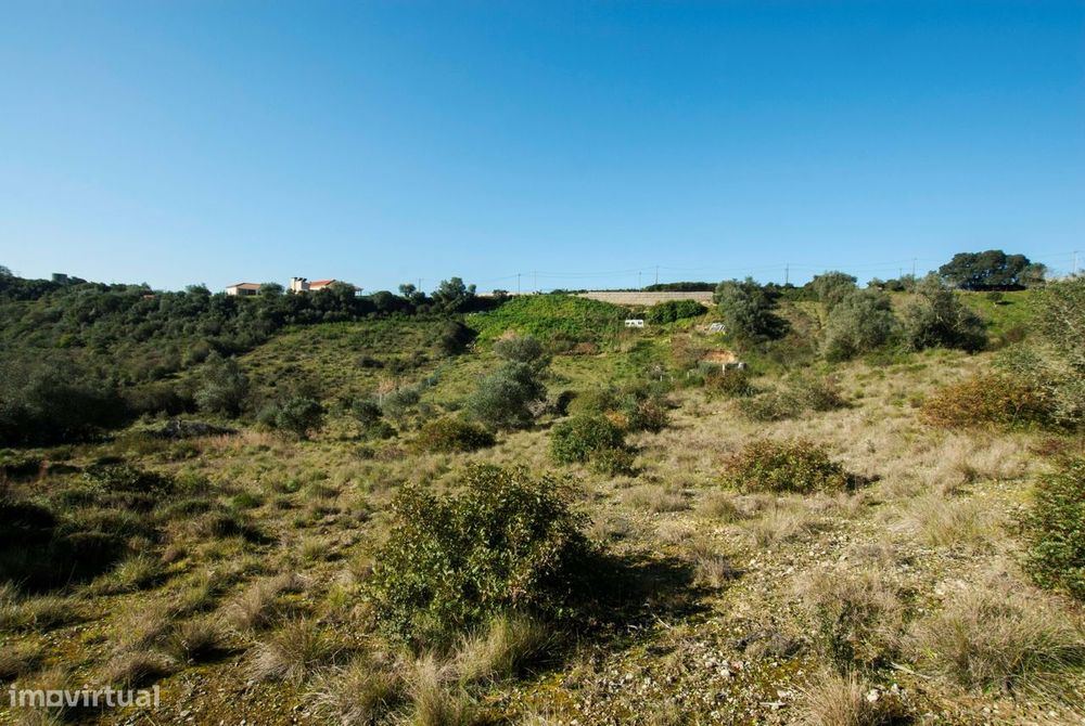 Terrenos para venda na Bemposta em Bucelas