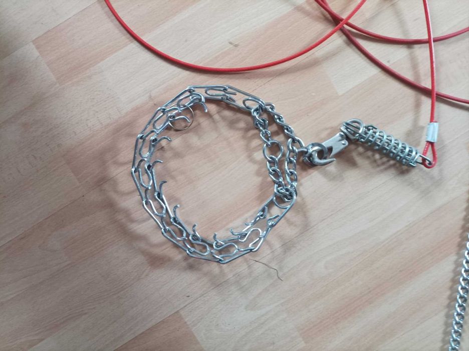 Ошейник,поводок,цепь.