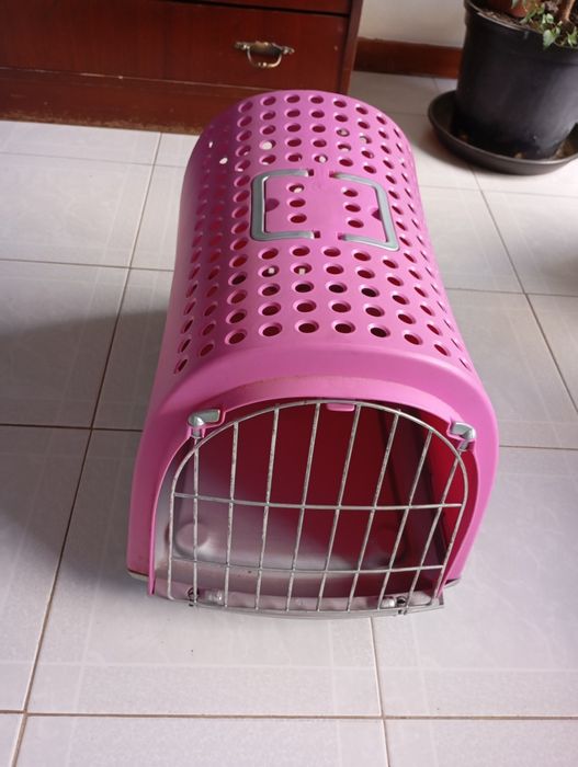 Vendo transporte gato