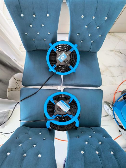 PRANKO Mobilne pranie tapicerki, dywanów, aut / Piaseczno, Mazowieckie