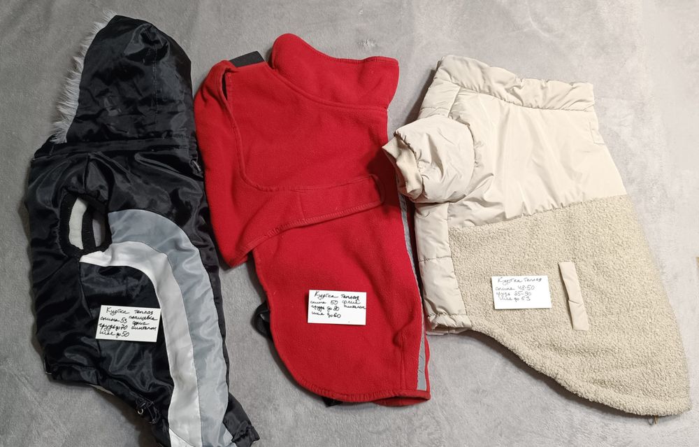 Одежда для собак, одяг для собак