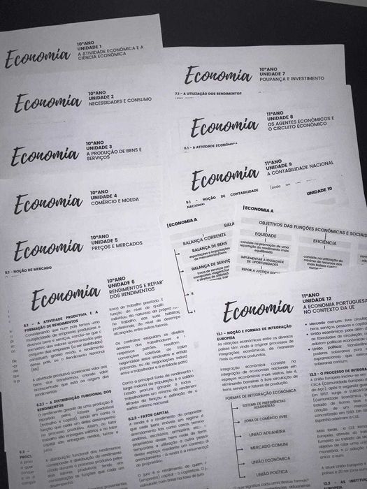 Economics A Summaries for Tests/Exams – 10th/11th Grade (Complete Syllabus)64297806982402120