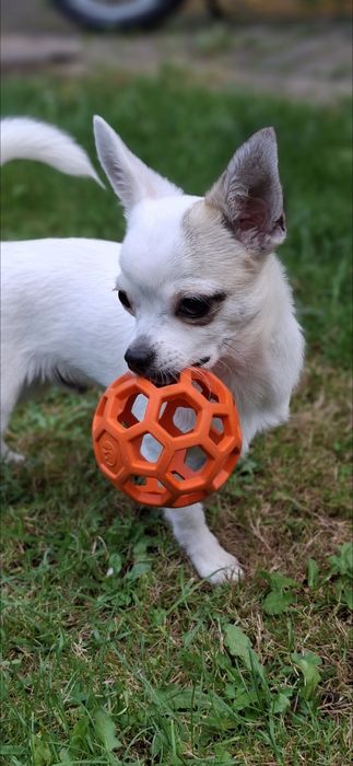 ZAGINIONY! pomóż odnaleźć