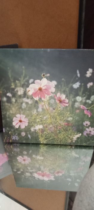 Canvas Prints and Wall Art64739927762945123