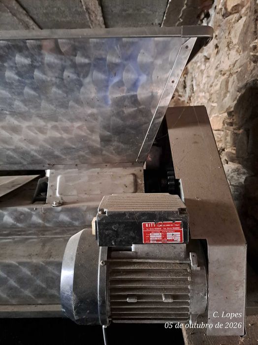 Esmagadora elétrica de uvas