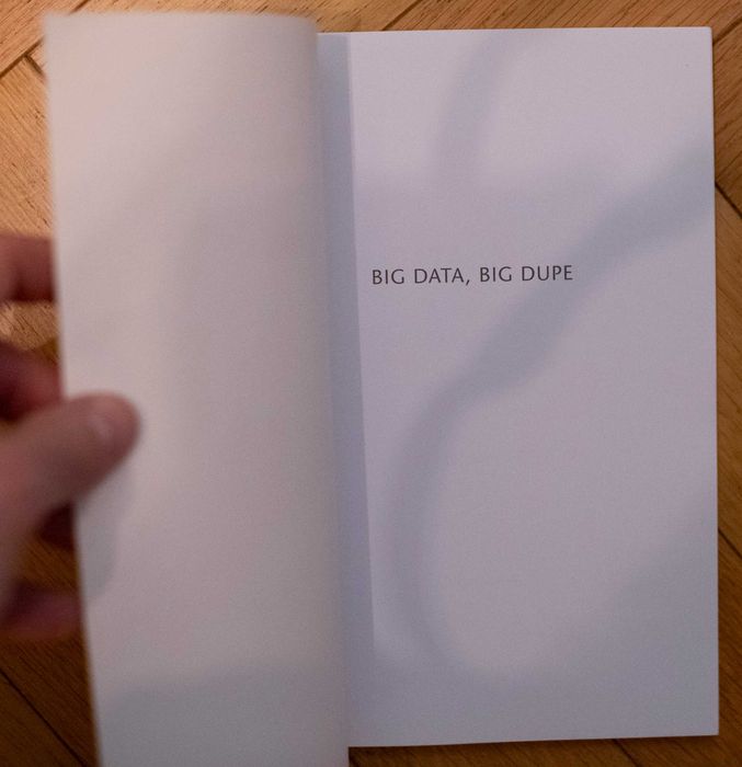 BIG DATA, BIG DUPE Stephen Few Krytyka Analityka BI Książka Snake Oil