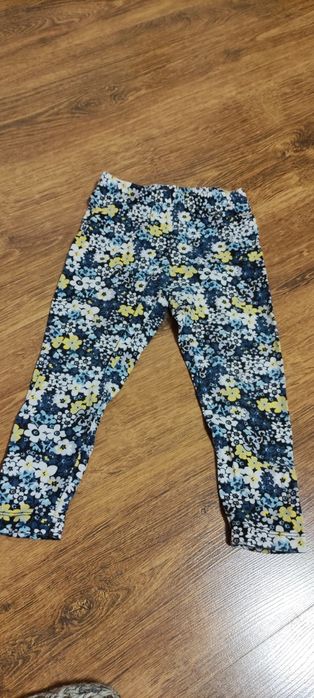 Лосини  1-2 роки