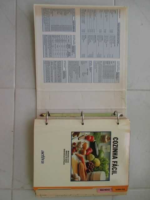 Dossiê ACTIVA - anos 90