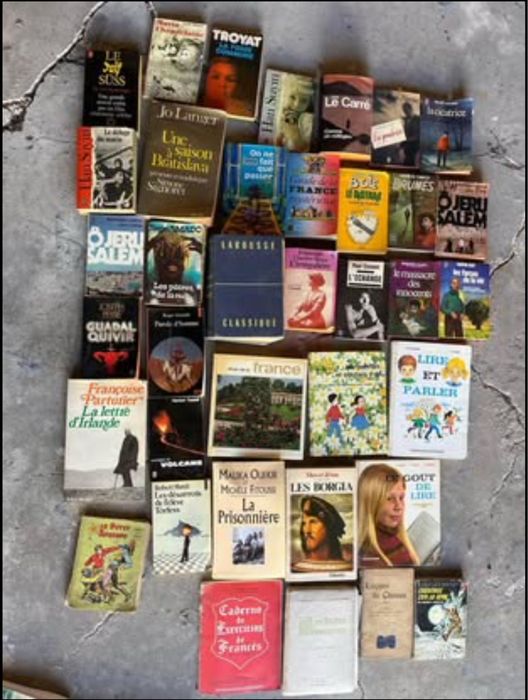 Lote de livros e revistas