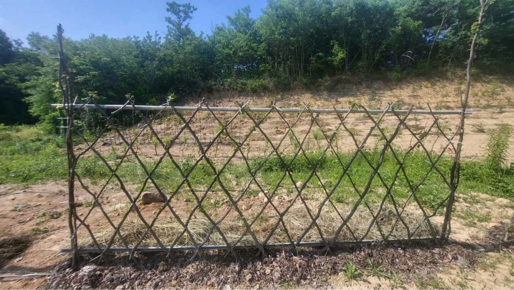 Послуги садівника Садівник посадка живоплоту , жива огорожа