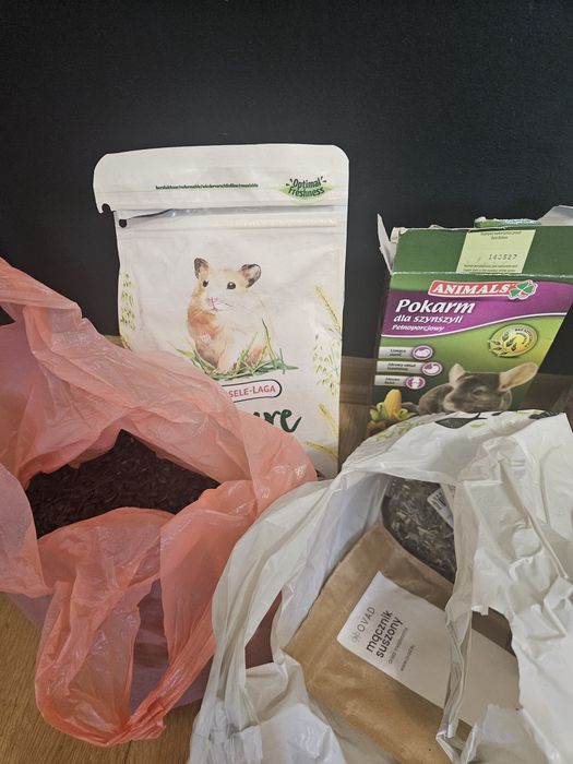2 szczury samiczki dumbo z klatką zabezpieczoną, akcesoriami i karmą