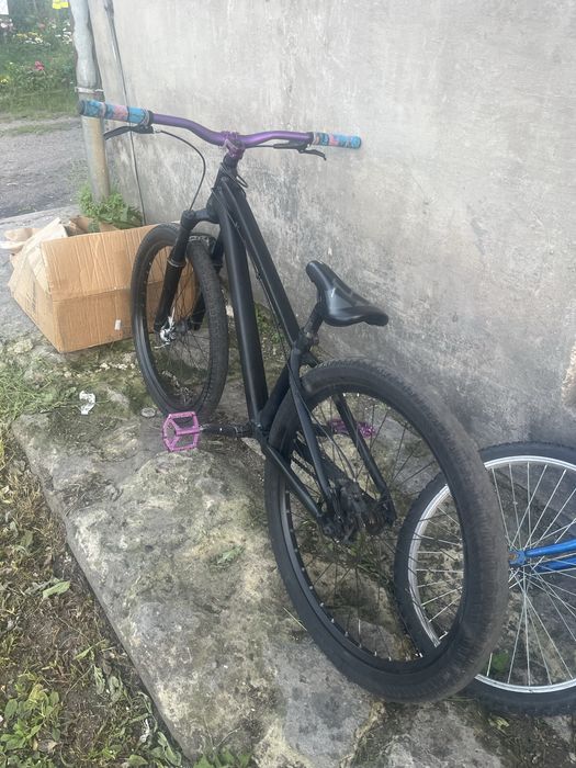 Dirt Kands colt v2