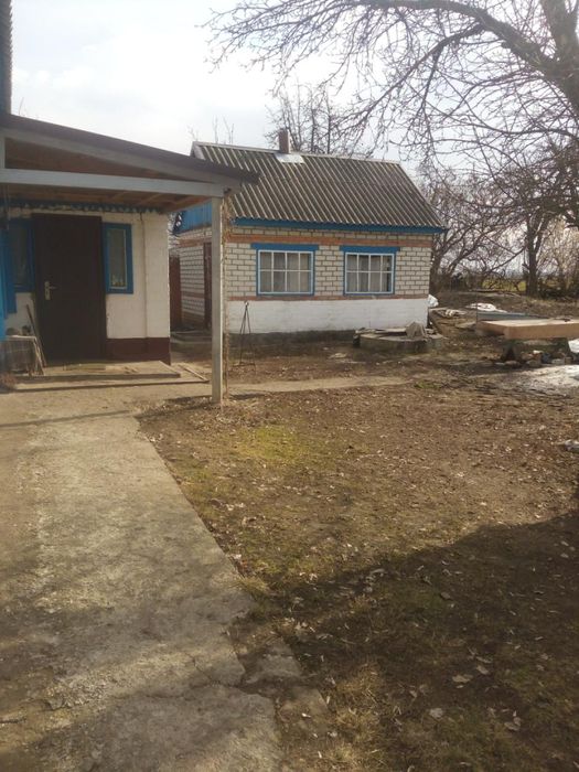 Будинок цегляний з присадибною ділянкою