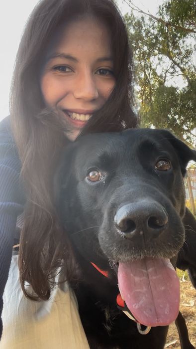 Pet Sitting  - cuidadora