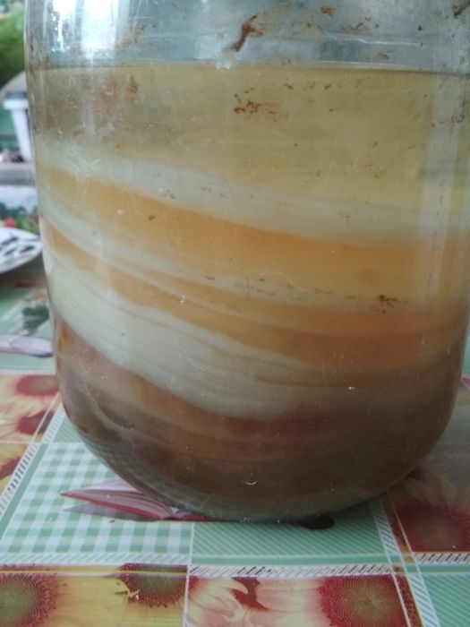 подарую чайний гриб