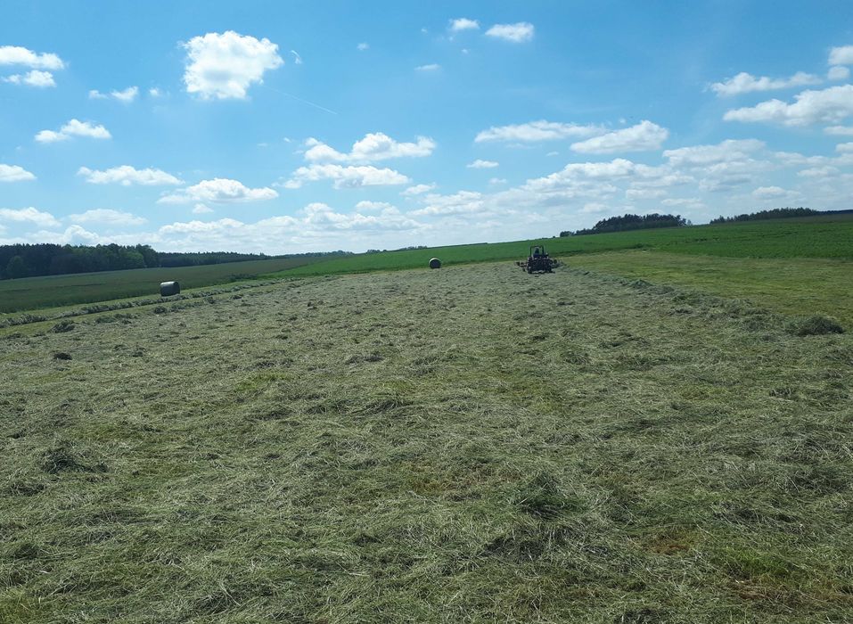 sianokiszonka bele 130 (siano, słoma, pszenica, jęczmień, pszenżyto)