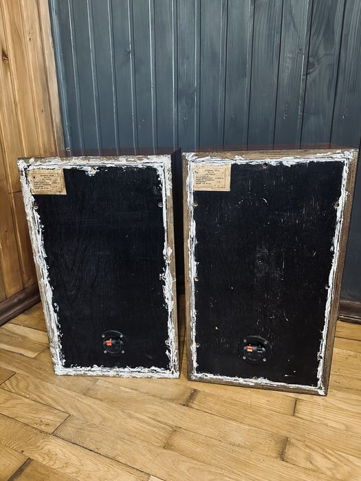 25 АС-309 акустична система