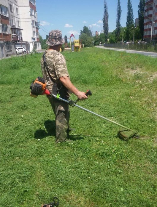 Покос, укос, косіння трави буряну
